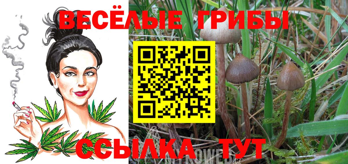 Галлюциногенные грибы мухоморы Ахтубинск
